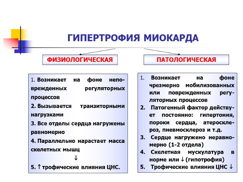 ГИПЕРТРОФИЯ МИОКАРДА